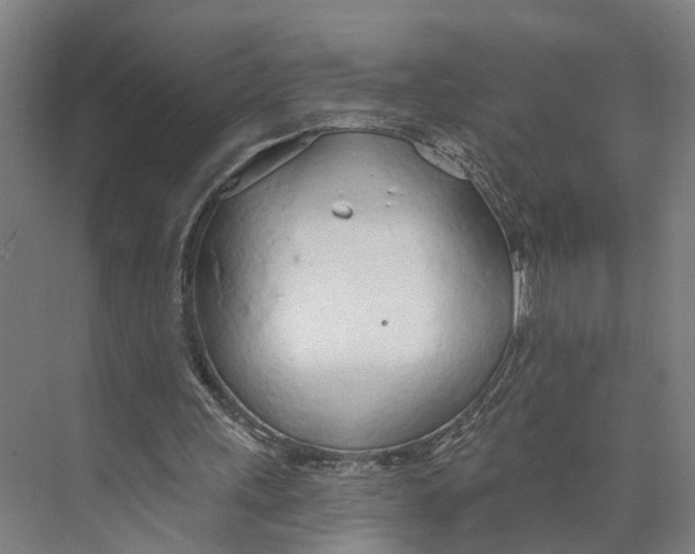 X0000073990243200609181749