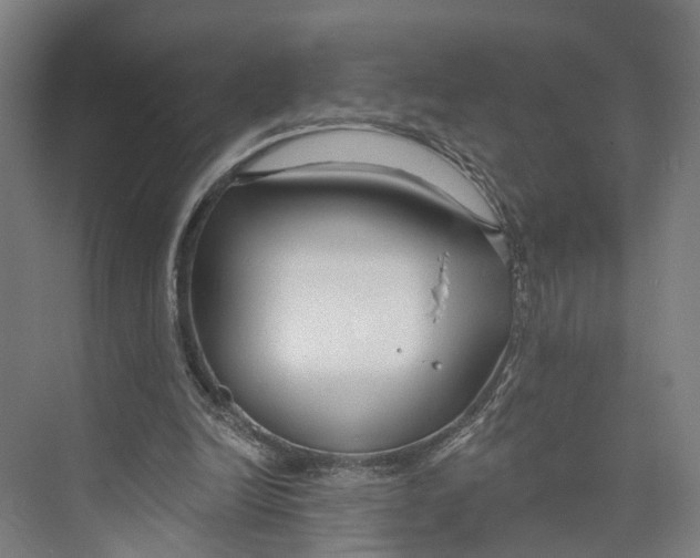 X0000073990246200609181749