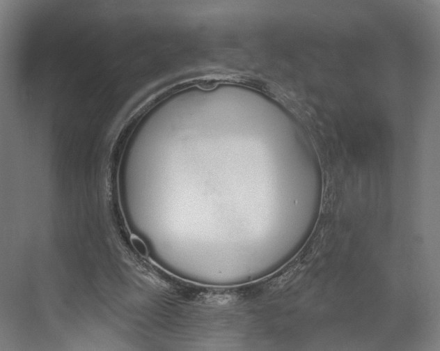 X0000073990247200609181749