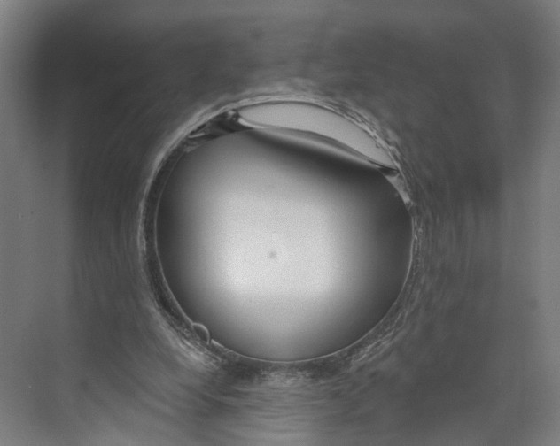 X0000073990248200609181750