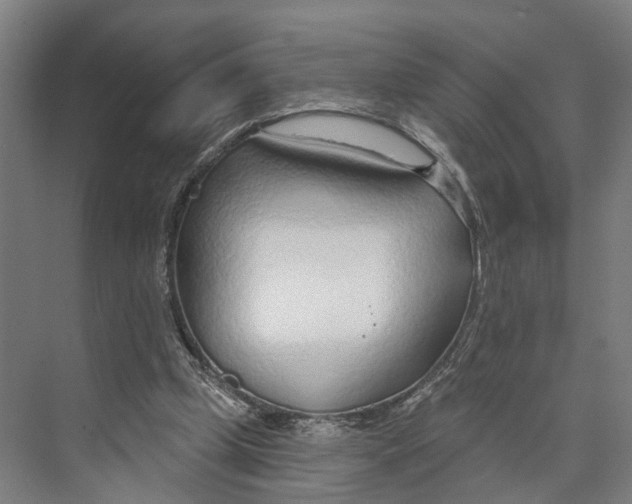 X0000073990249200609181750