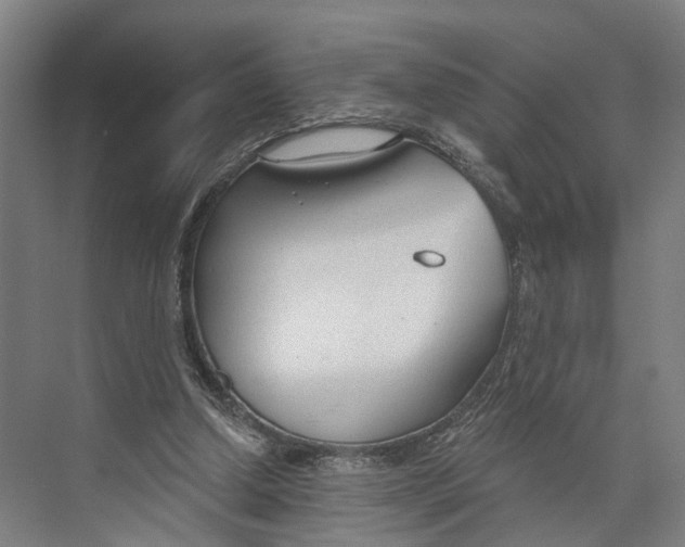 X0000073990250200609181750