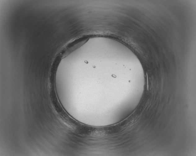 X0000073990252200609181750