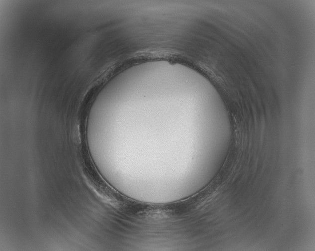 X0000073990254200609181750