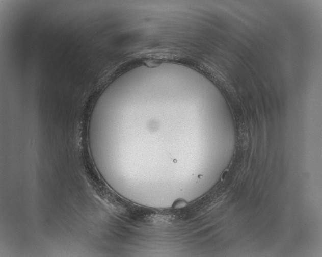 X0000073990255200609181750