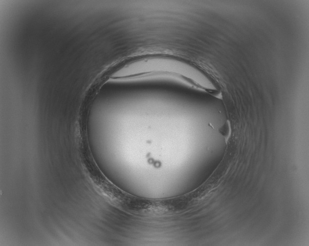 X0000073990256200609181750