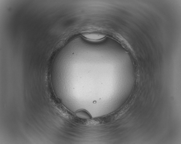 X0000073990257200609181750