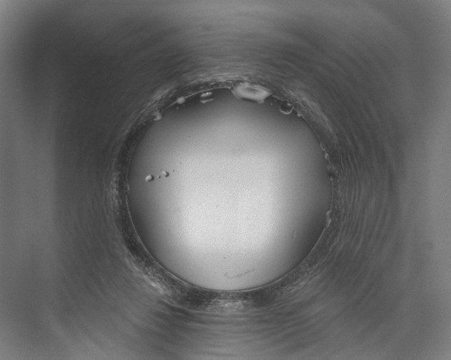 X0000073990260200609181750