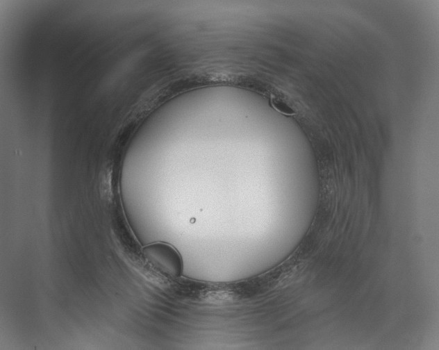 X0000073990262200609181750