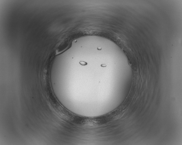 X0000073990263200609181750