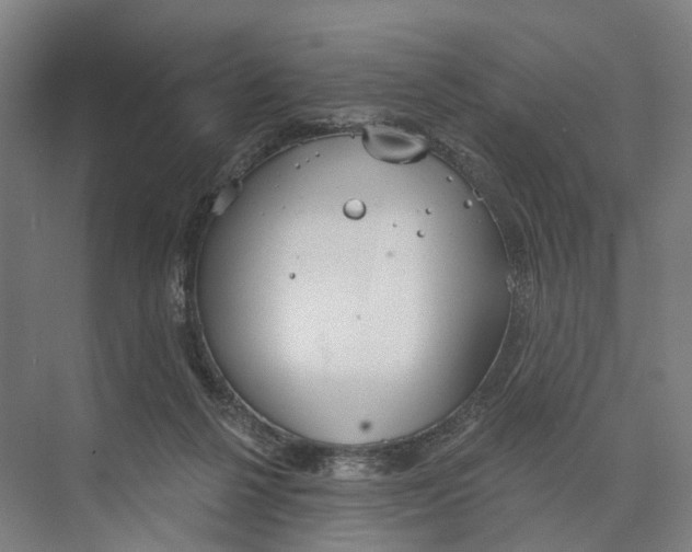 X0000073990264200609181750