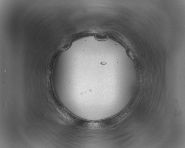 X0000073990265200609181750