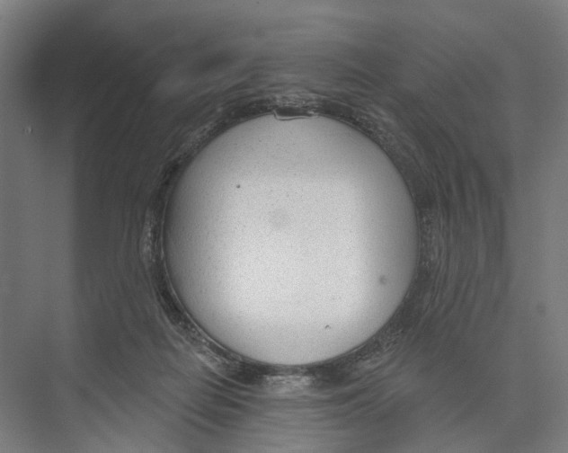 X0000073990266200609181750