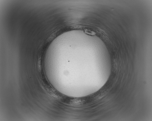 X0000073990267200609181750