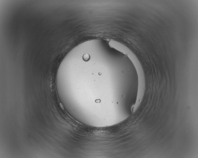 X0000073990268200609181750