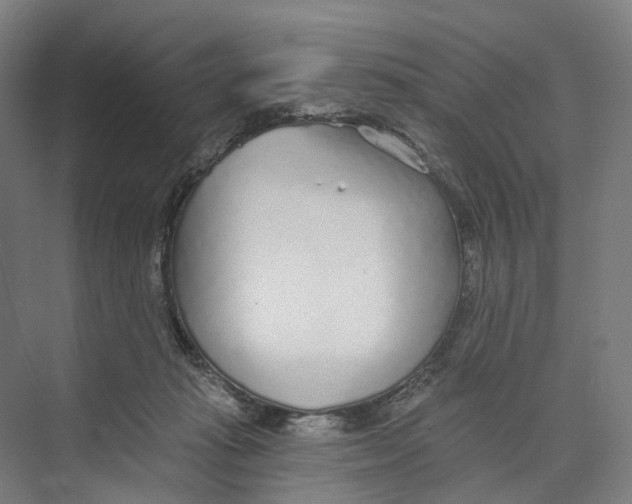 X0000073990269200609181750