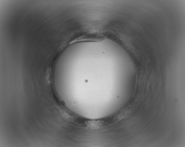 X0000073990273200609181750