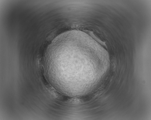 X0000073990276200609181750