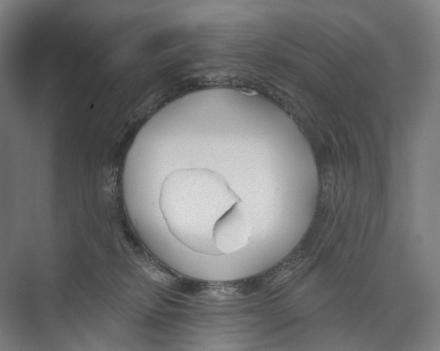 X0000073990278200609181750