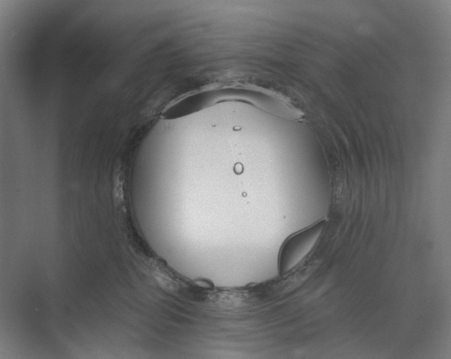 X0000073990282200609181750