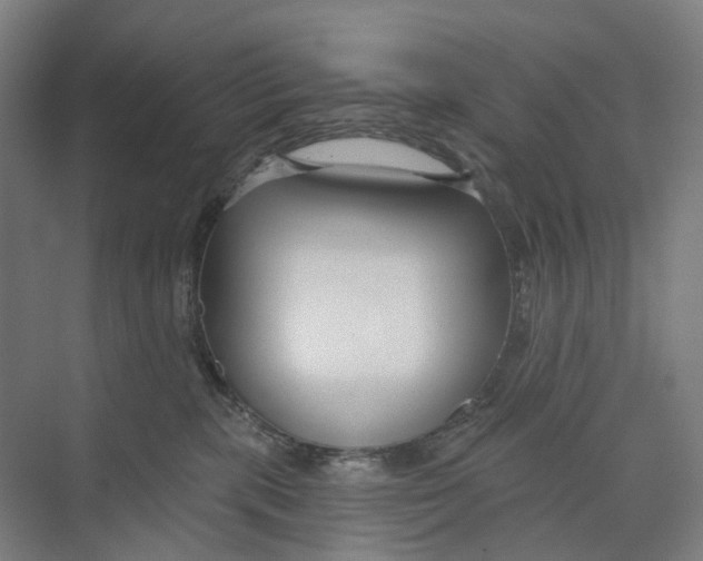 X0000073990283200609181750