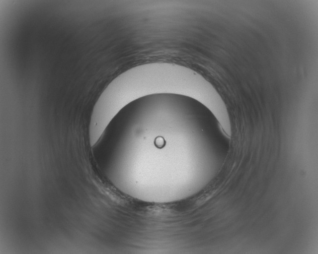 X0000073990284200609181750