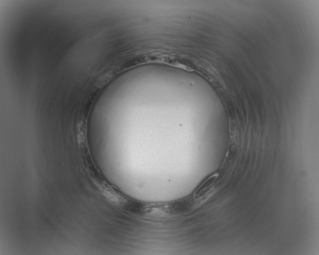 X0000073990285200609181750