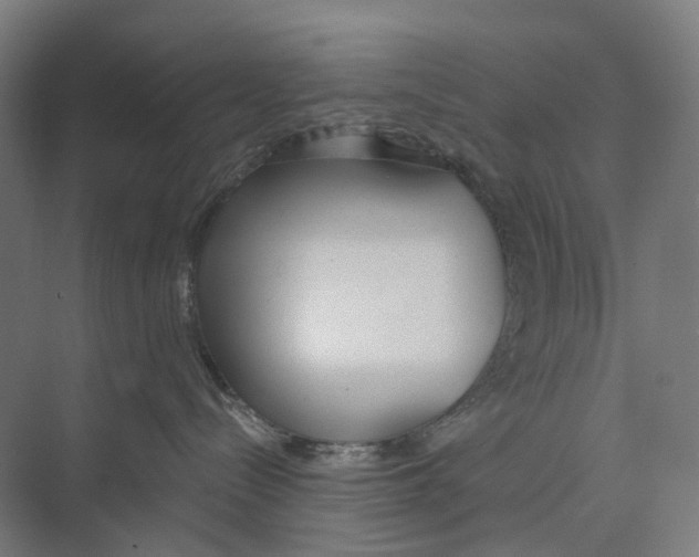 X0000073990288200609181750