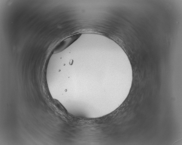 X0000073990289200609181749