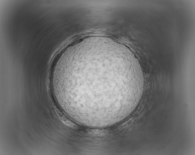 X0000073990293200609181749