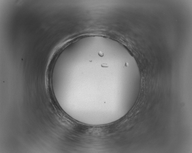 X0000073990294200609181749