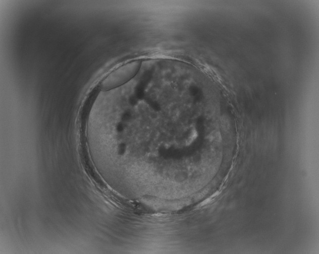 X0000073990295200609181749