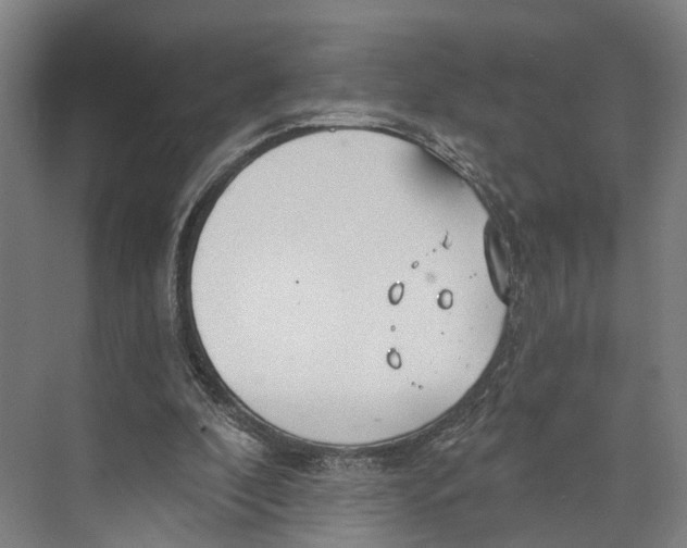 X0000073990296200609181749