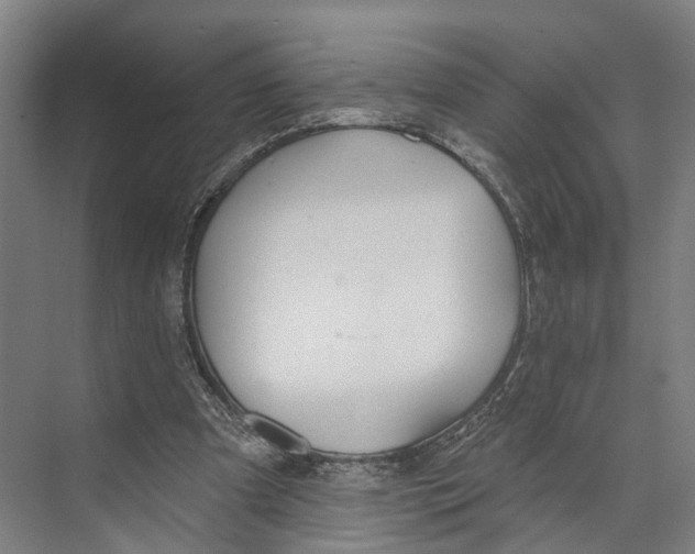 X0000073990297200609181749