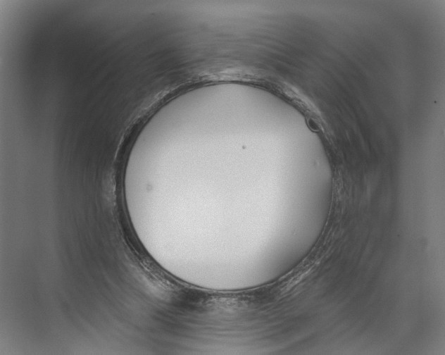 X0000073990298200609181749