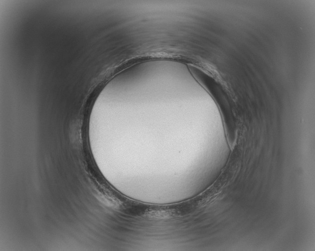 X0000073990299200609181749