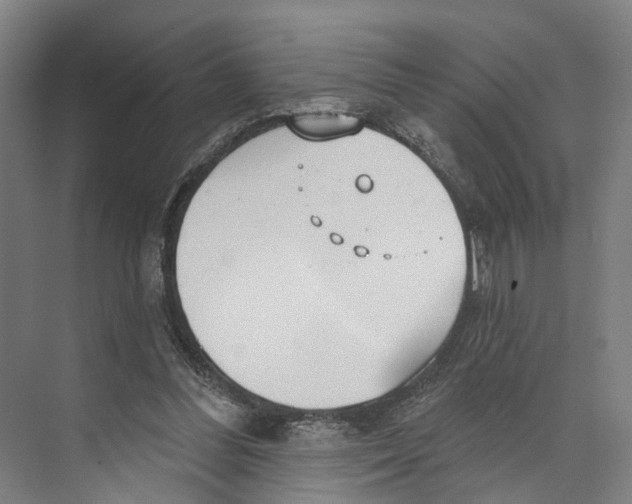 X0000073990300200609181749