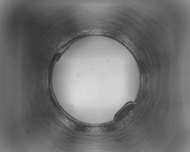 X0000073990301200609181749