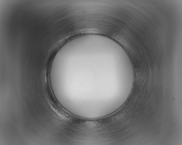 X0000073990302200609181749