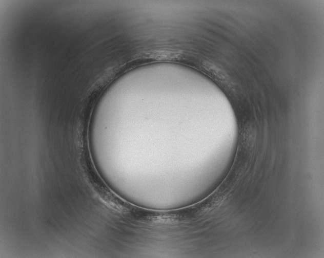 X0000073990303200609181749