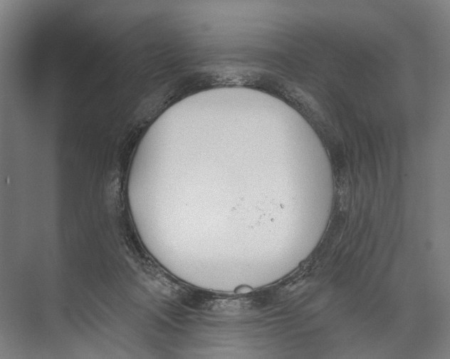 X0000073990314200609181749