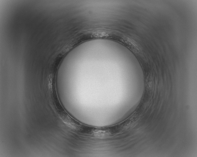 X0000073990315200609181749