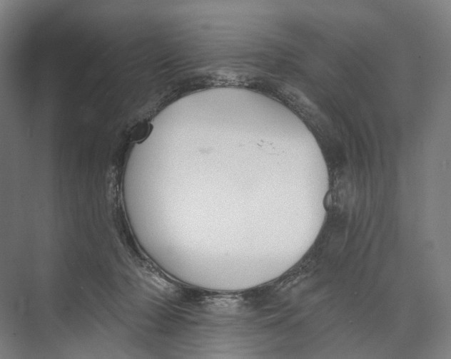 X0000073990318200609181749