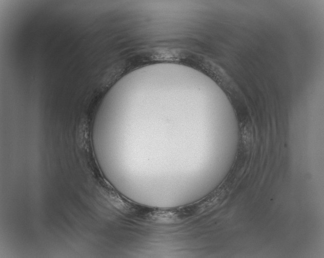 X0000073990322200609181749