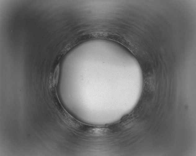 X0000073990323200609181749