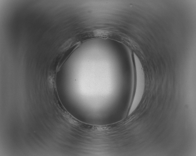 X0000073990329200609181749