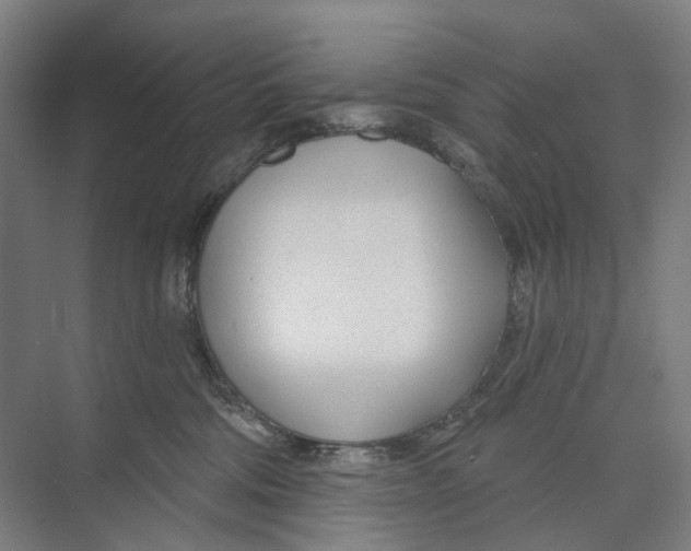 X0000073990330200609181749