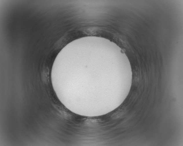 X0000073990332200609181749