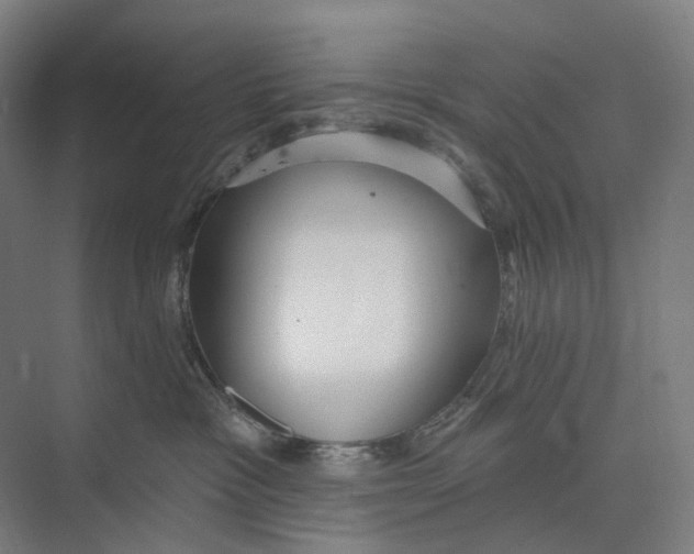 X0000073990333200609181749