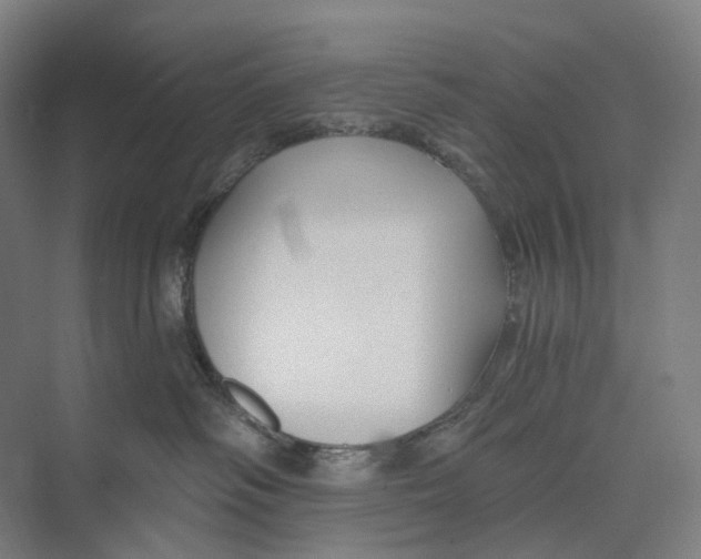 X0000073990334200609181749